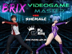 Video Game Master – Brix [PigKing]