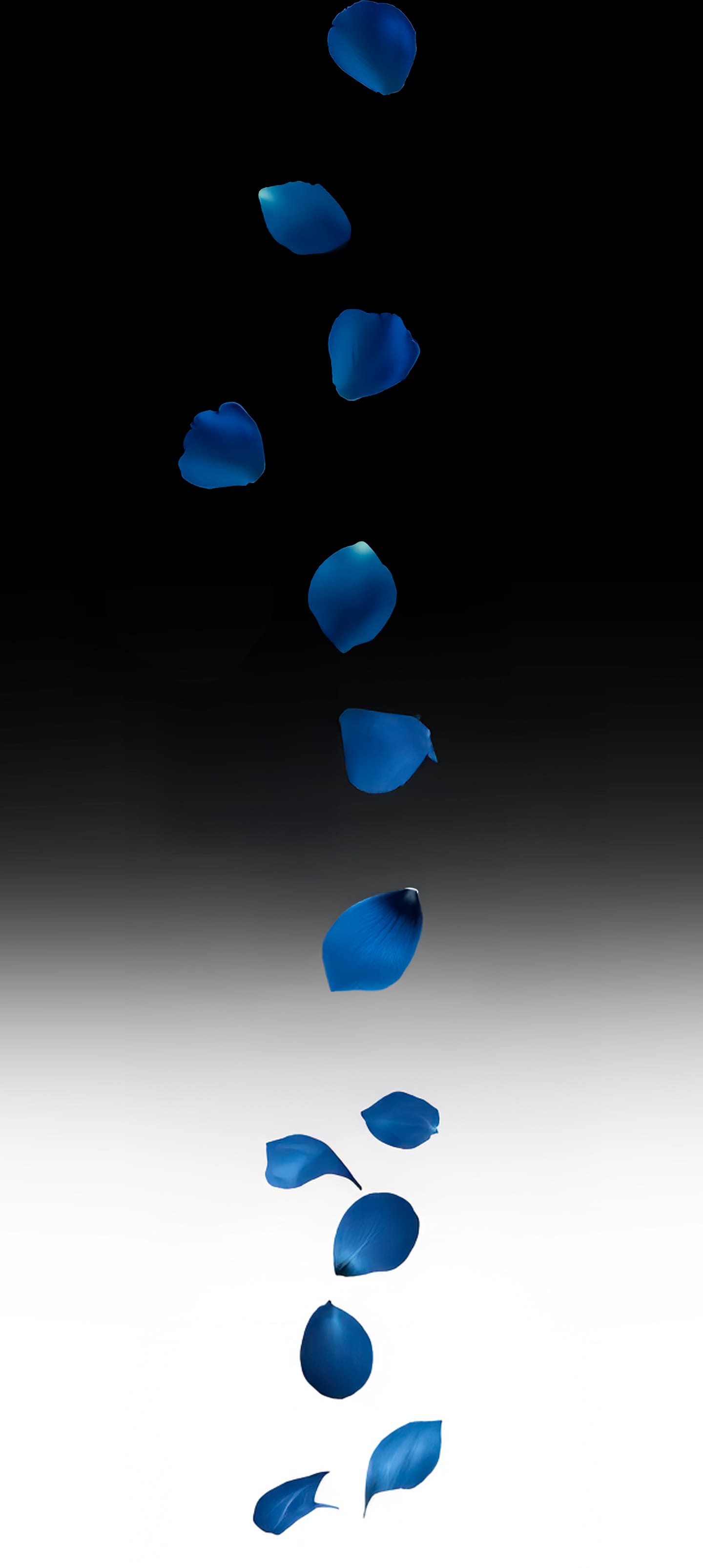 Dismissed [Rose Blue 3D] - Chapter 1 — Page 17