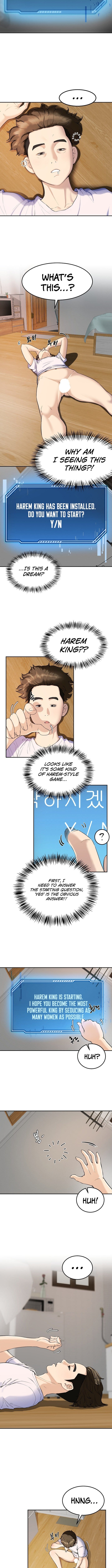 Harem King [Processor st , Hwarim] - Chapter 1 — Page 15